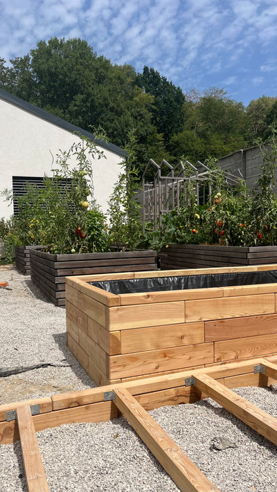 From AI Garden Design to DIY Reality: Build Your Dream Raised Beds with GridGarden — GridGarden