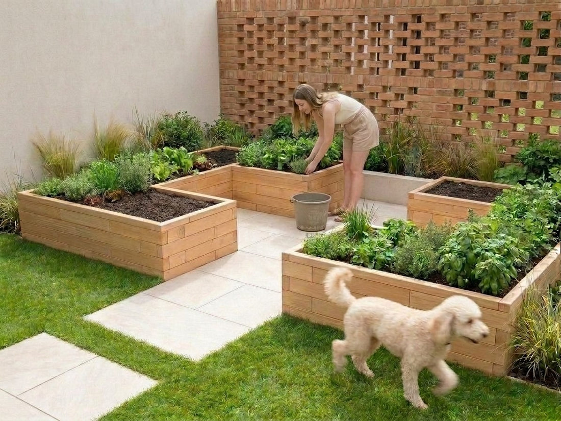 Cultivating Medicinal Herbs in Raised Beds: A Central European Guide — GridGarden