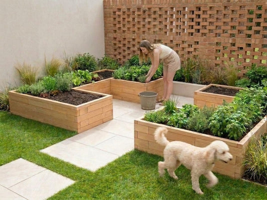 Cultivating Medicinal Herbs in Raised Beds: A Central European Guide — GridGarden