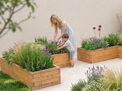 Custom Raised Bed Shapes & Sizes: Design Your Unique Garden with Our 3D Tool — GridGarden