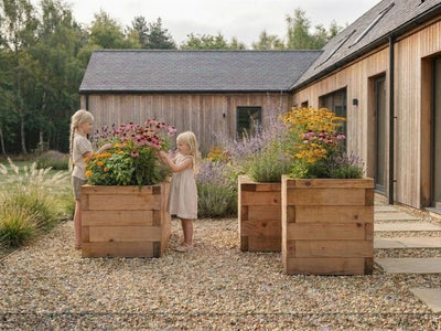 Raised Bed Planting Ideas: Spring, Summer, and Autumn Harvests in Central Europe — GridGarden