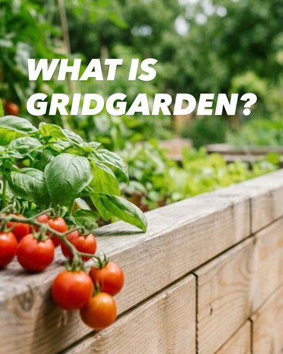 Raised Bed Cost Comparison: GridGarden vs. Traditional DIY & Kits in Central Europe — GridGarden
