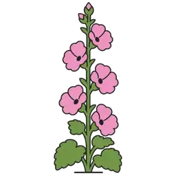 hollyhock