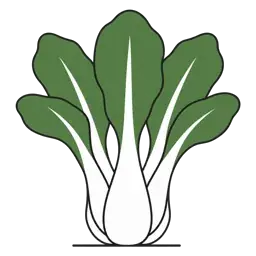 pak choi