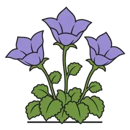 tussock bellflower