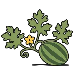 watermelon