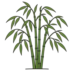 umbrella bamboo