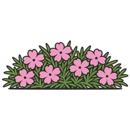 moss phlox