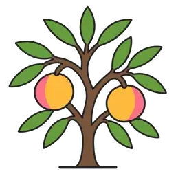 peach