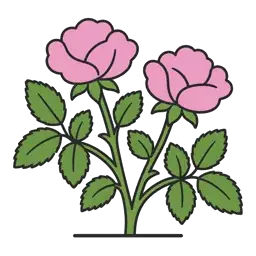 garden rose