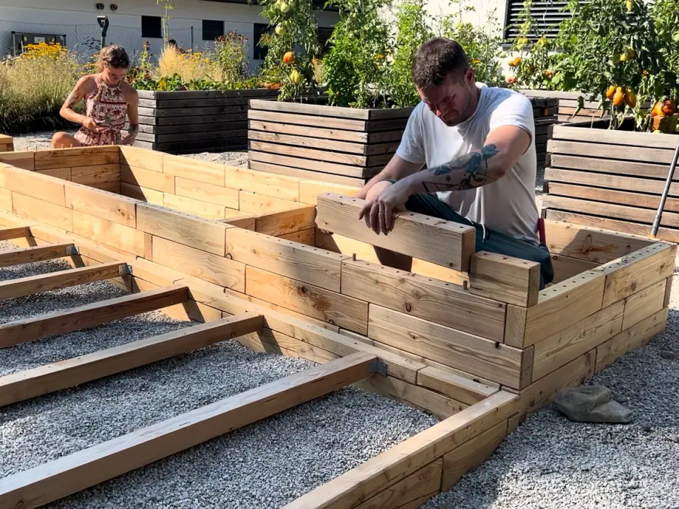 A man assembling a raised garden bed from larch pieces on a gravel base