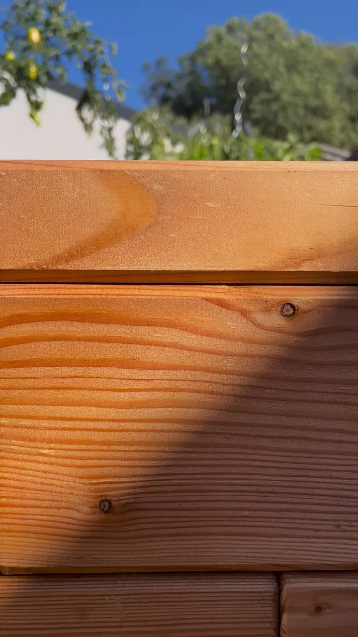 Close-up of larch pieces of a raised garden bed with a pronounced growth-ring pattern, greenery in the background