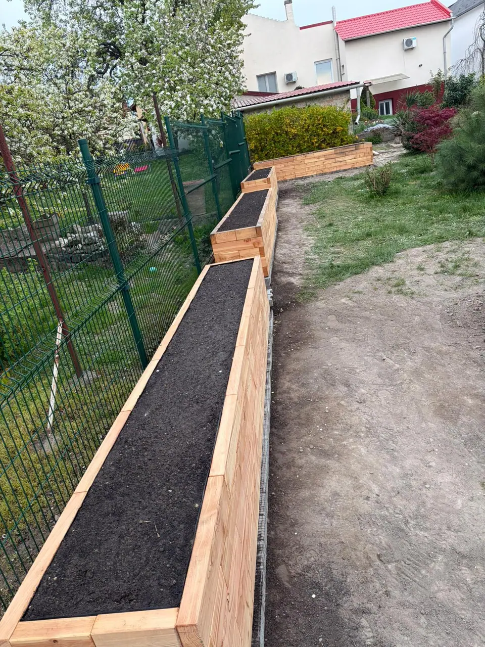 Brick Premium larch raised beds along a fence