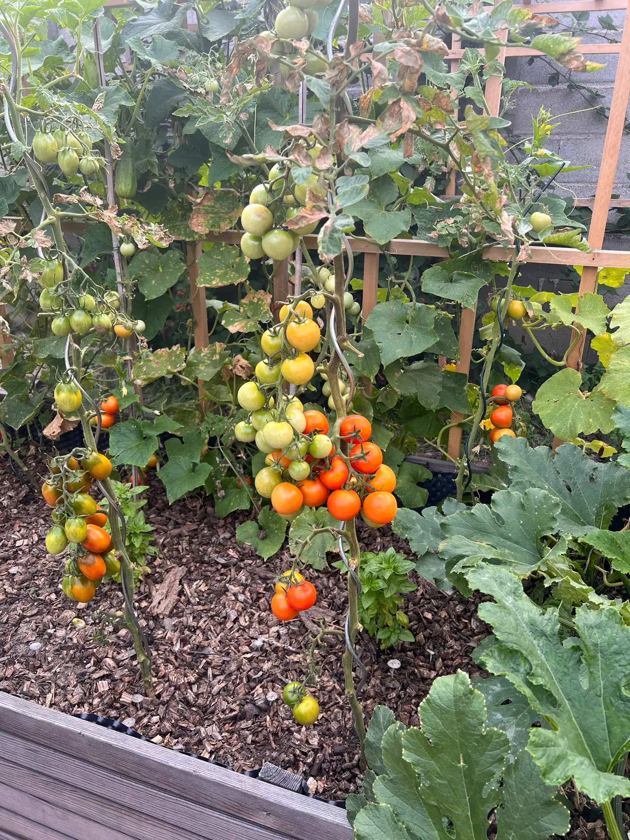 Comparing Raised Bed Systems: Modular vs. DIY vs. Prefabricated – A TCO Guide for Europe — GridGarden