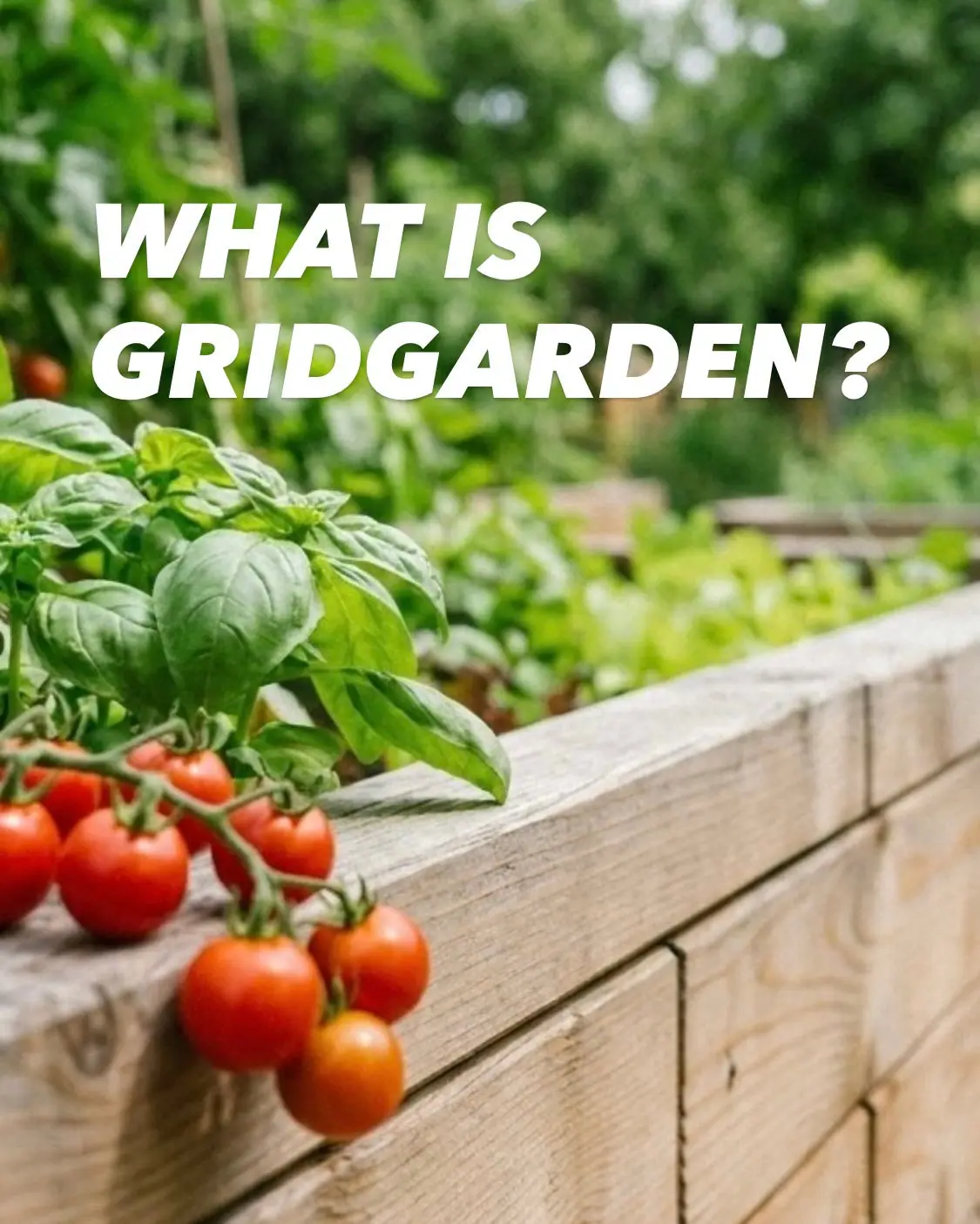 Raised Bed Cost Comparison: GridGarden vs. Traditional DIY & Kits in Central Europe — GridGarden