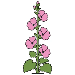 hollyhock