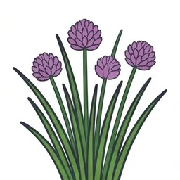 chives