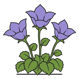 tussock bellflower