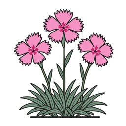 feathered pink