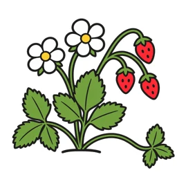 wild strawberry