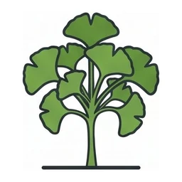 ginkgo