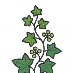 common ivy