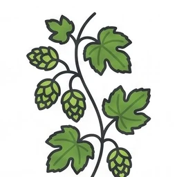 common hop