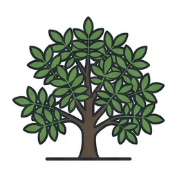 English walnut