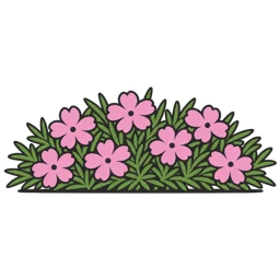 moss phlox