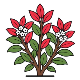 Fraser photinia