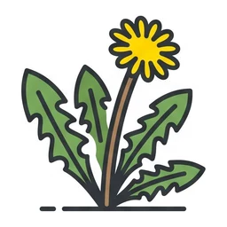 common dandelion