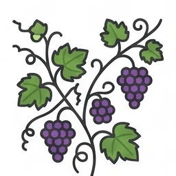 grape vine