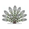 slender pride of Rochester