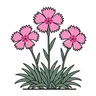 feathered pink