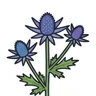 plains eryngo