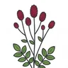Great Burnet