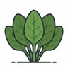 spinach