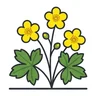 barren strawberry