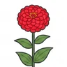 Common zinnia