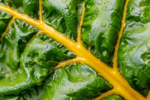 chard