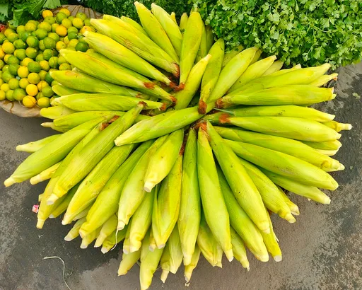 sweet corn